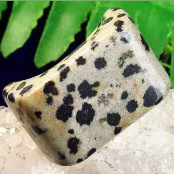 New Carved Dalmatian Jasper Oblong Ring. - Picture 2 of 2